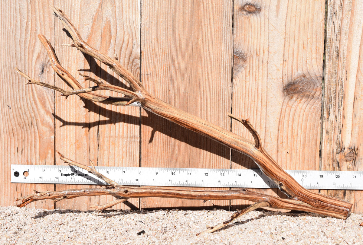 Manzanita #1372 20"x6"x13"