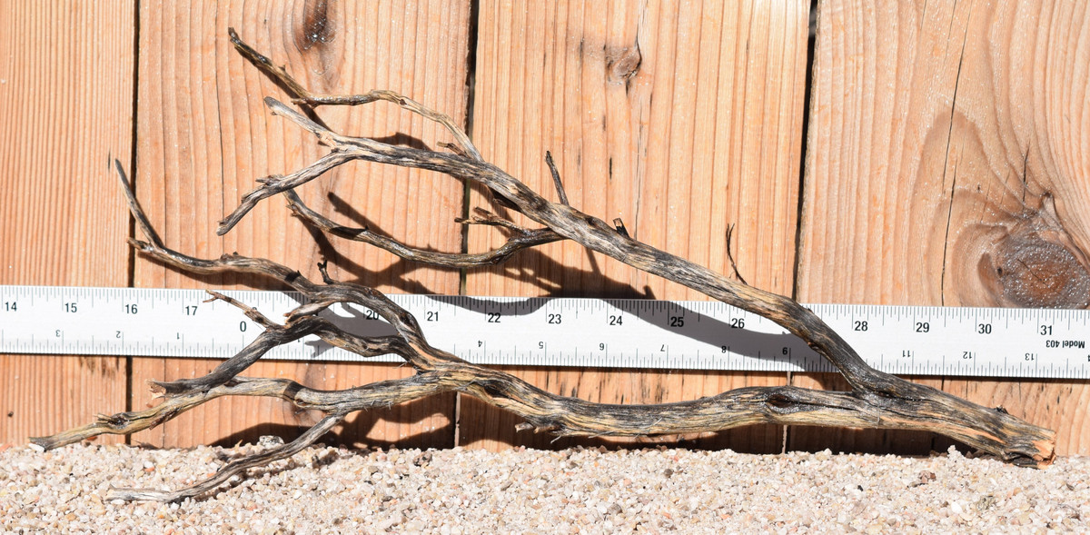 Manzanita #1377 17"x6"x7"