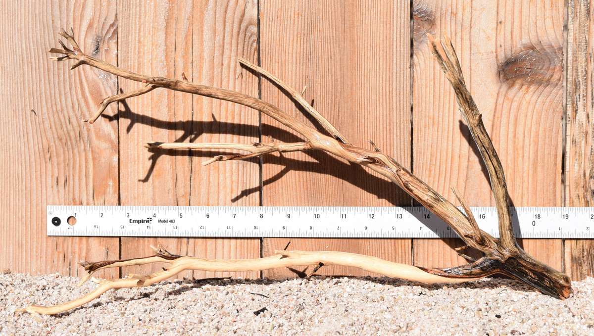 Manzanita #1378 18"x6"x10"