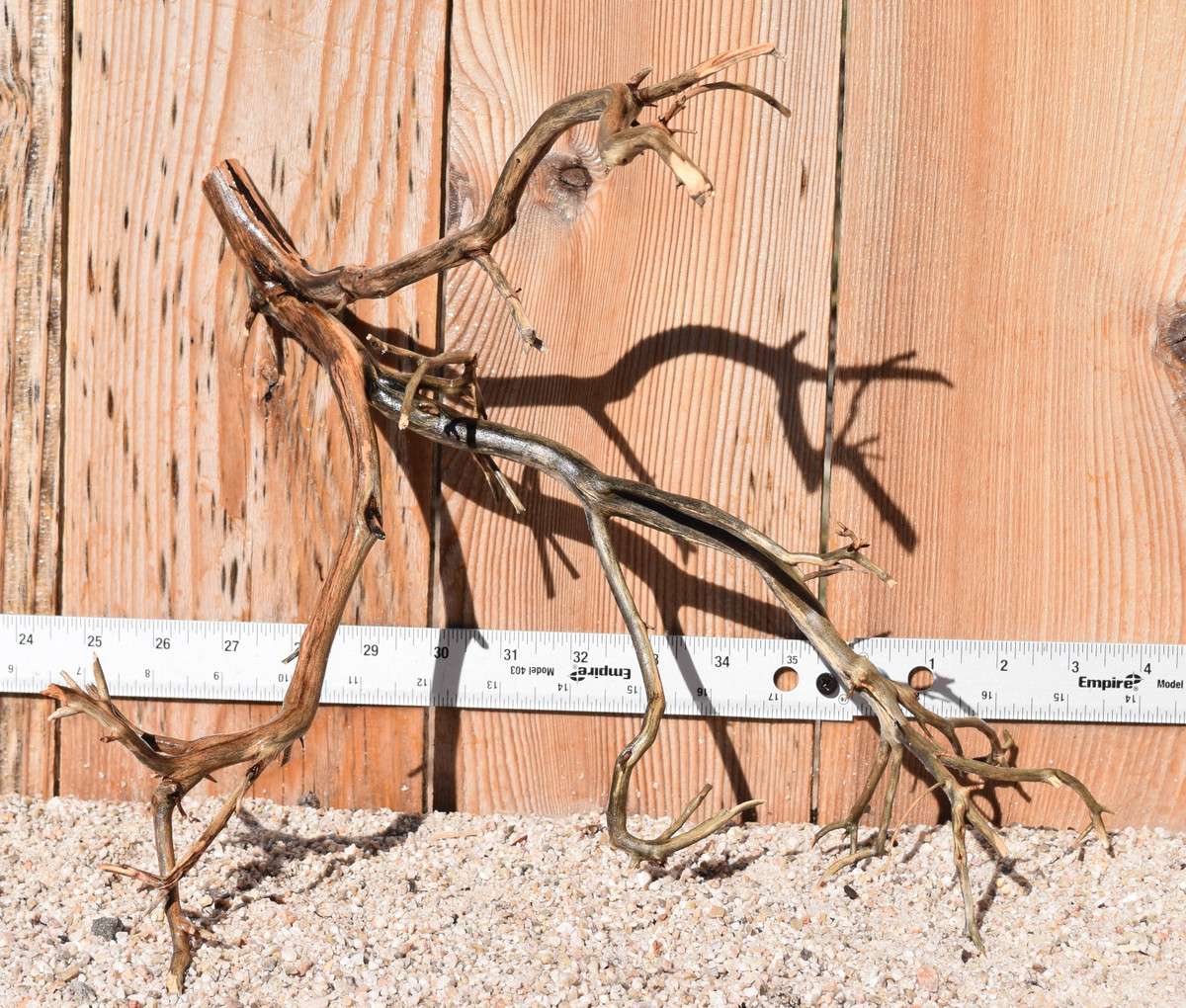 Manzanita #1385 14"x9"x12"