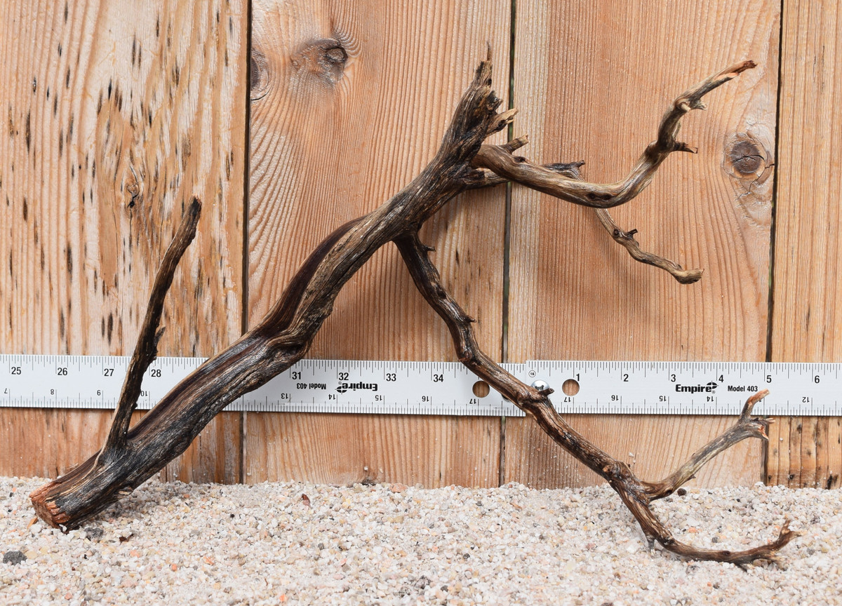 Manzanita #1510 15"x7"x10"