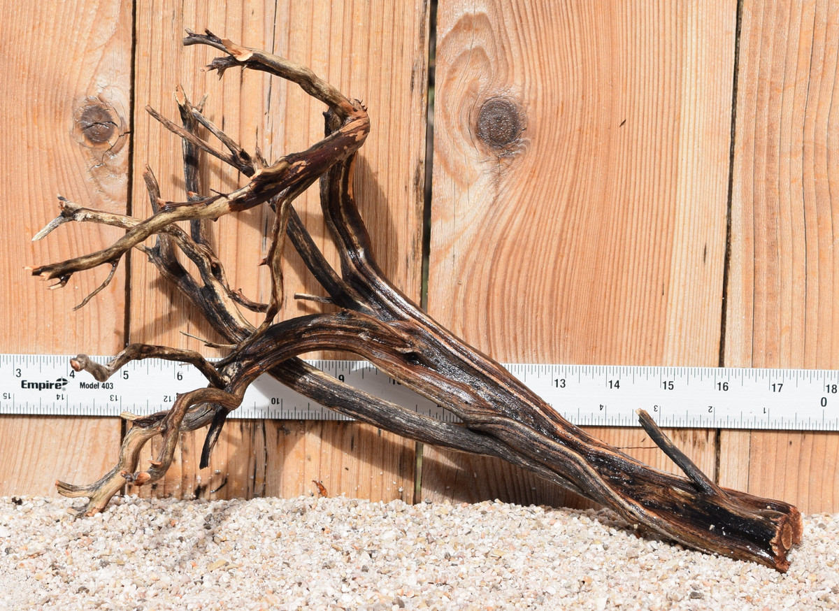 Manzanita #1517 14"x9"x10"