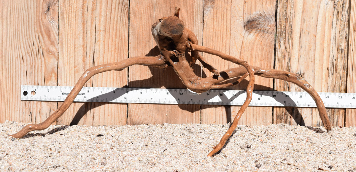 Spiderwood#1588 23"x11"x9"