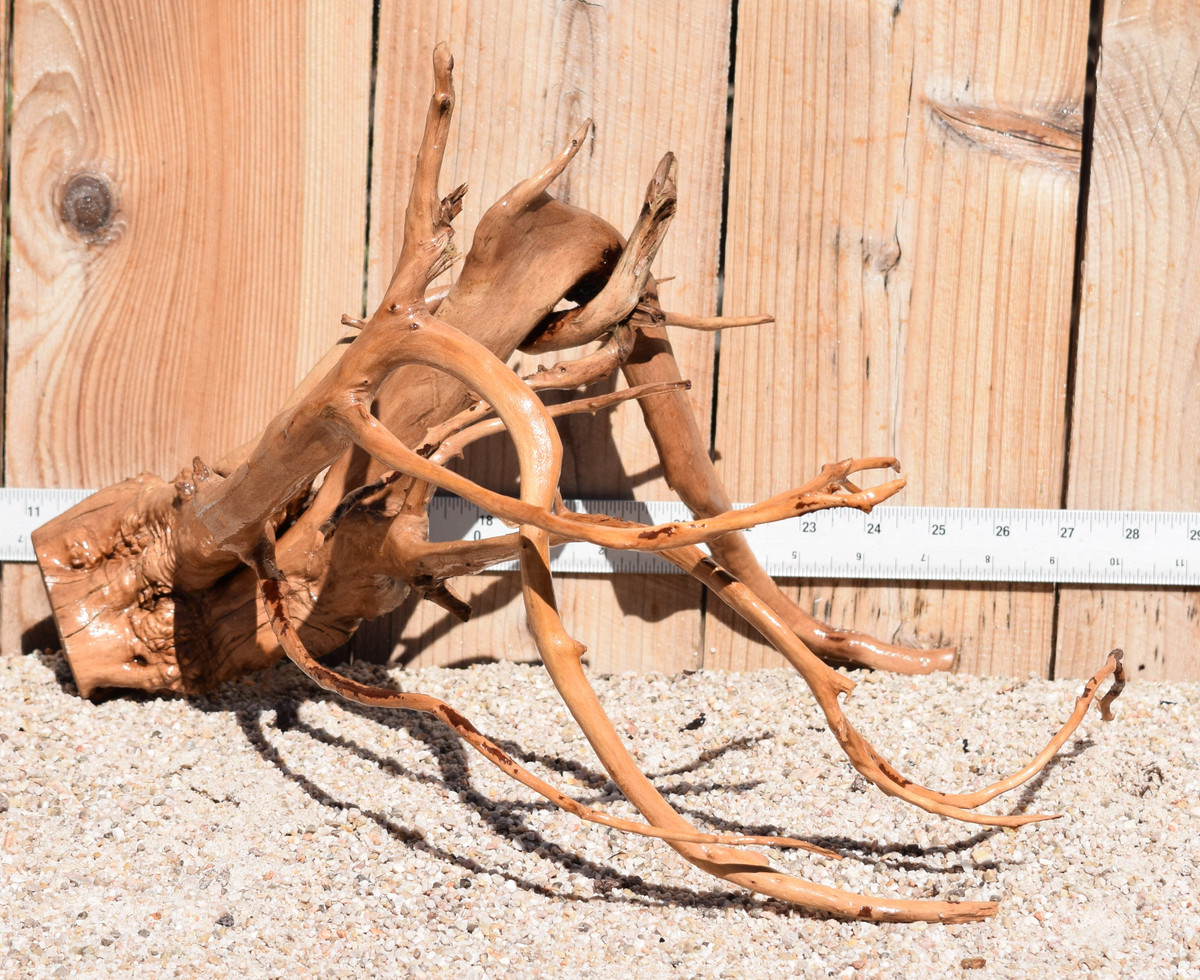 Spiderwood#1590 16"x14"x11"