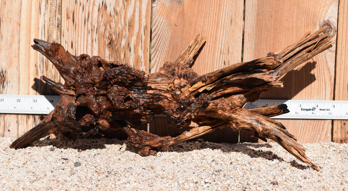 Spiderwood#1595 19"x8"x8"