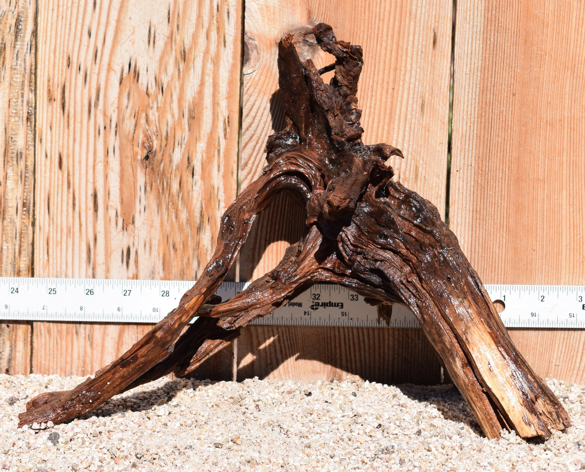 Spiderwood#1598 14"x6"x10"