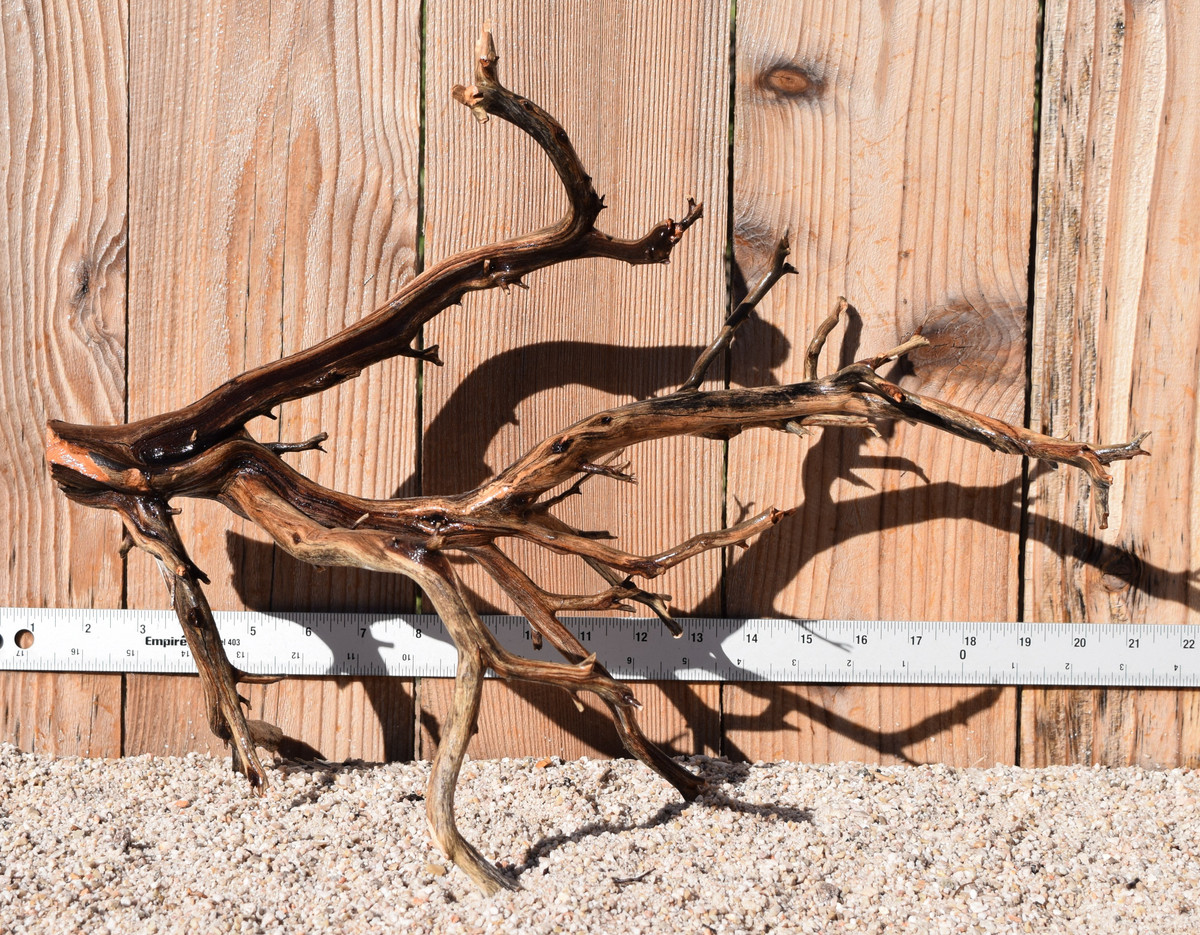 Manzanita #1719 18"x9"x13"