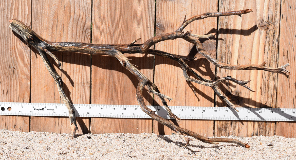 Manzanita #1766 24"x8"x12"