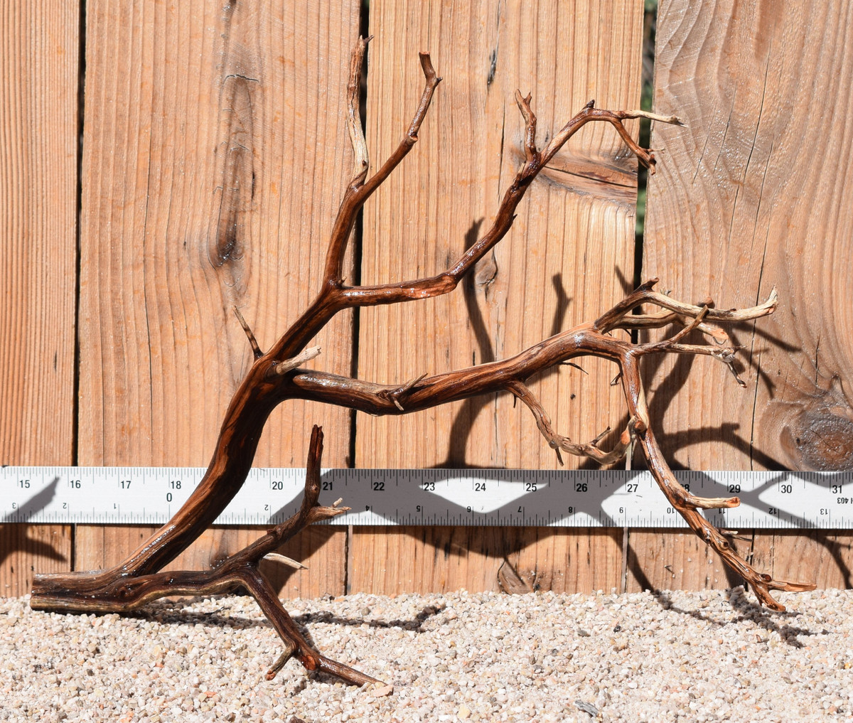 Manzanita #1768 15"x9"x11"