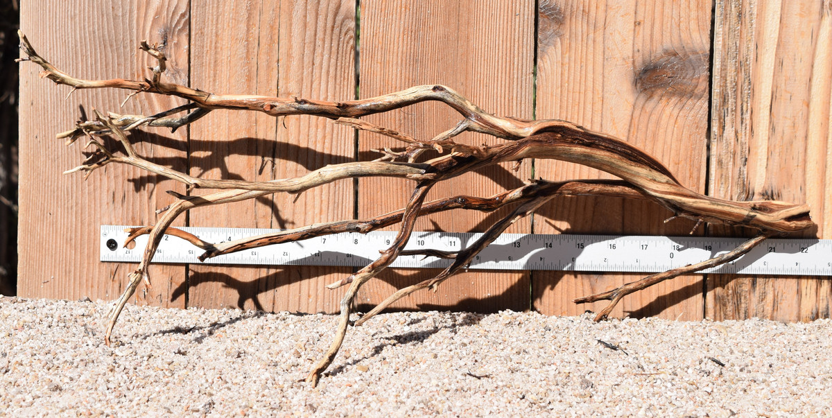 Manzanita #1769 24"x10"x10"