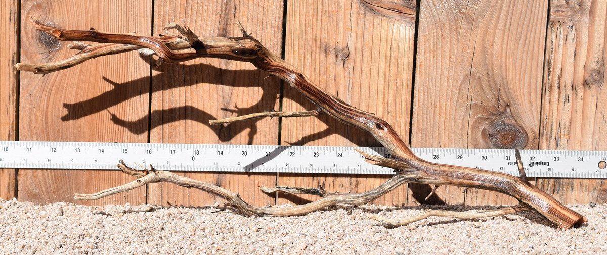 Manzanita #1771 23"x6"x8"