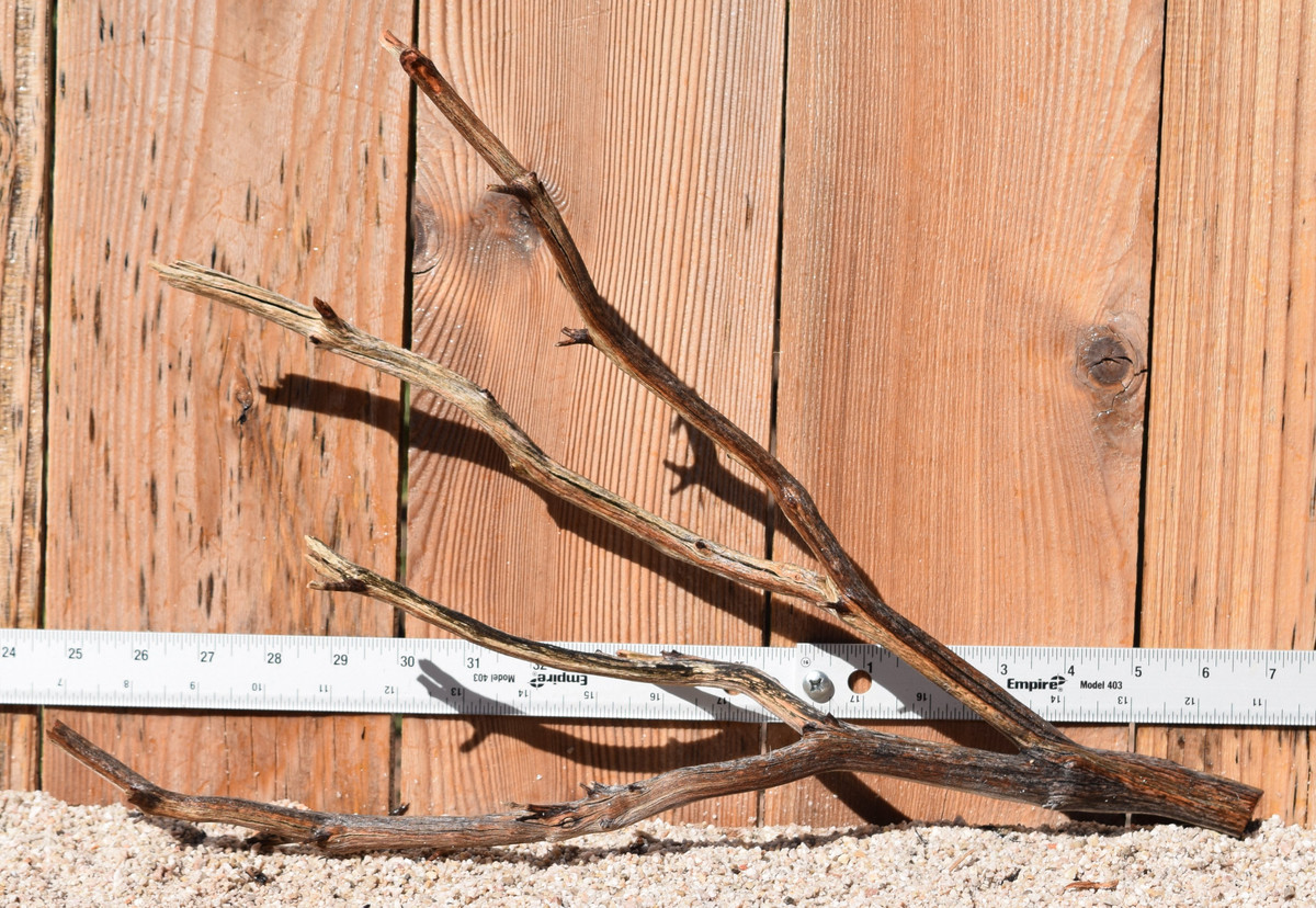 Manzanita #1779 18"x5"x12"