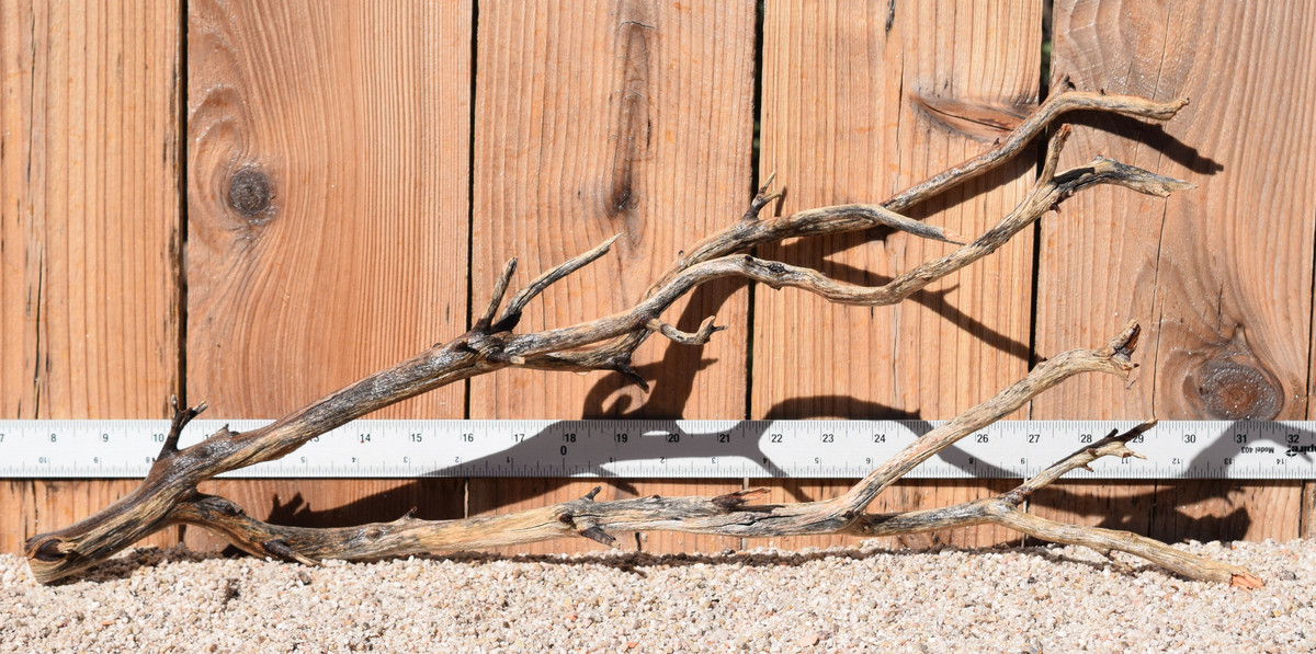 Manzanita #1780 23"x8"x9"