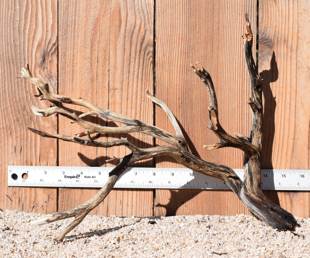 Manzanita #1781 15"x8"x11"