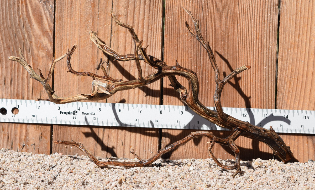 Manzanita #1784 14"x8"x8"