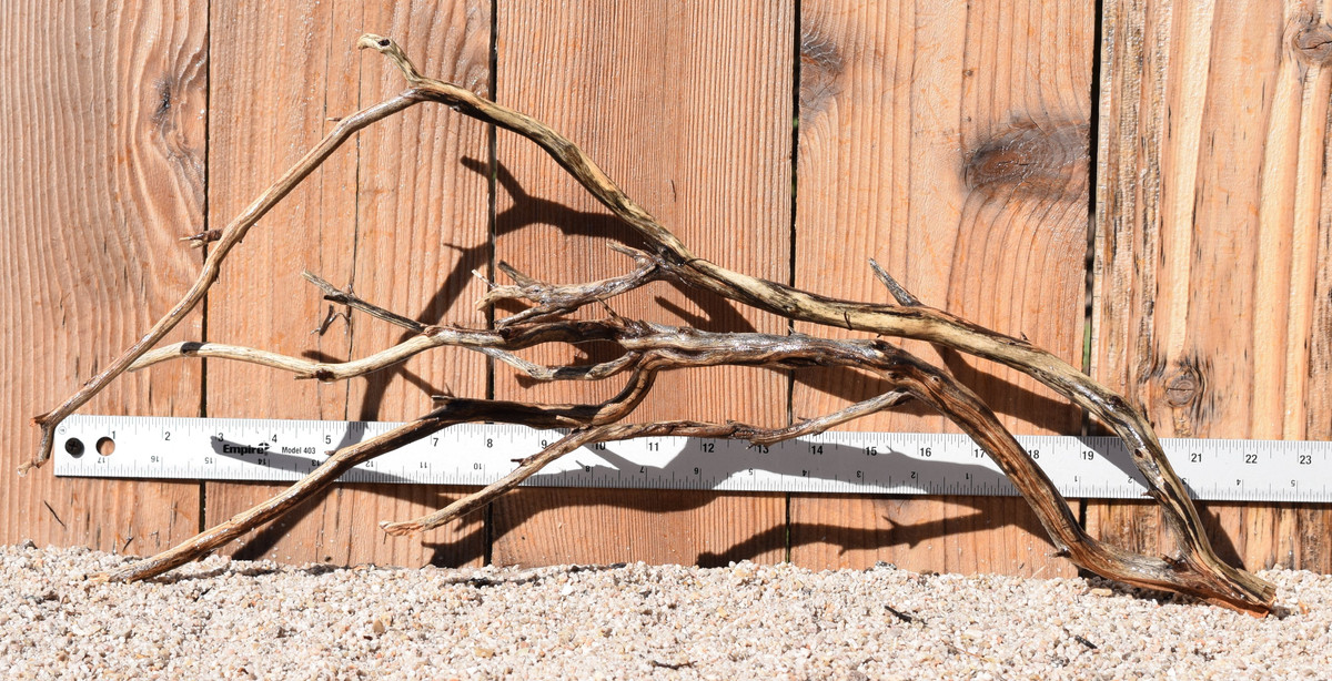 Manzanita #1790 22"x5"x11"