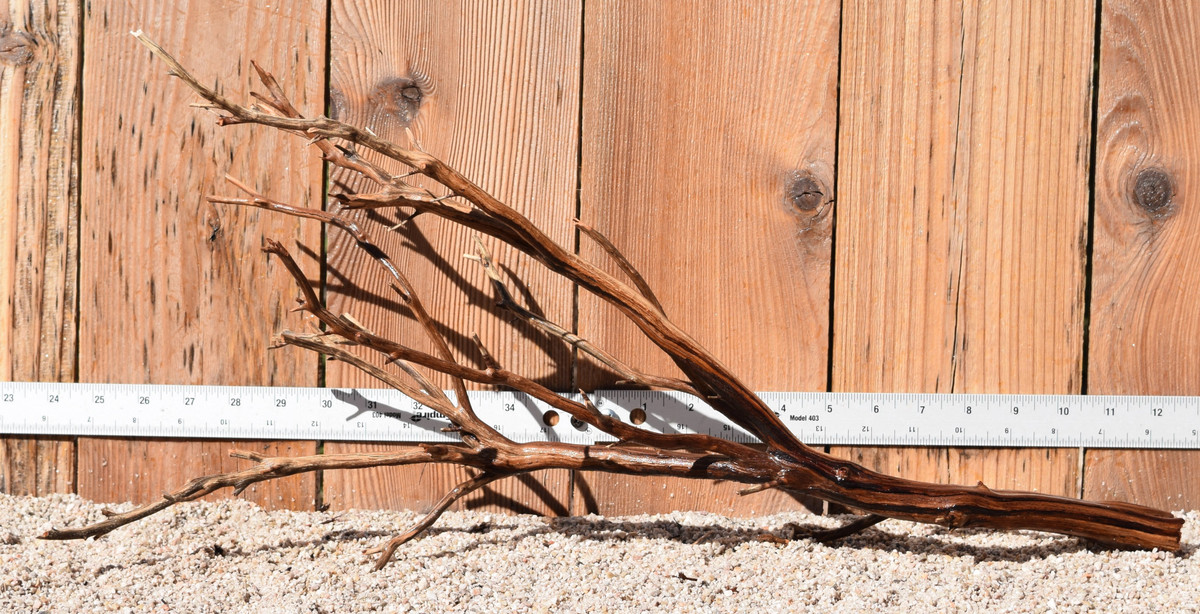 Manzanita #1791 24"x11"x11"