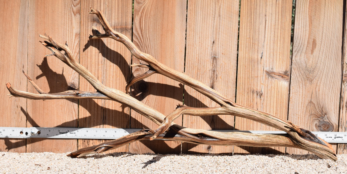 Xlg Manzanita #1803 32"x9"x15"