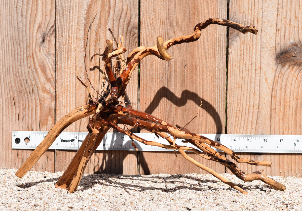 Kakado Wood 1836  16"x11"x10"