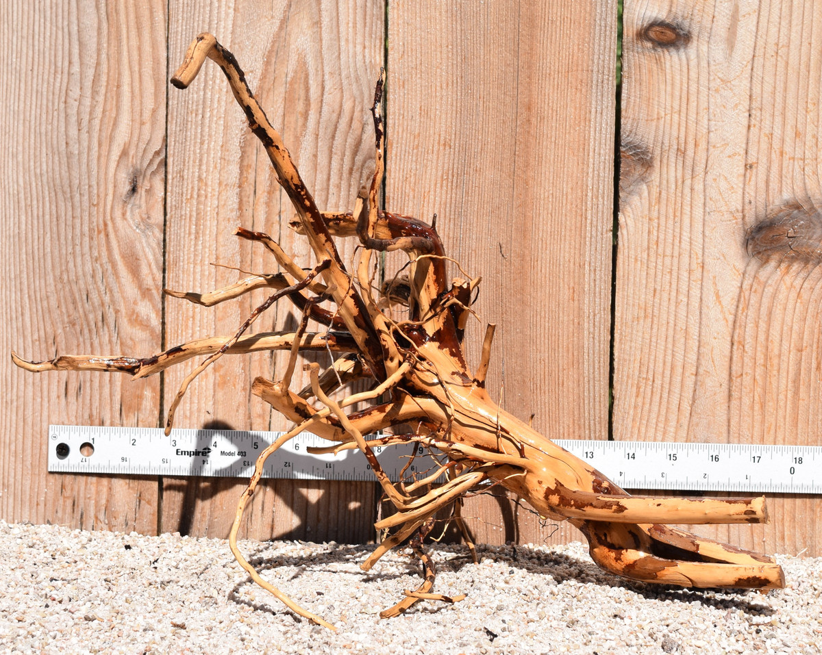 Kakado Wood 1839  17"x10"x12"