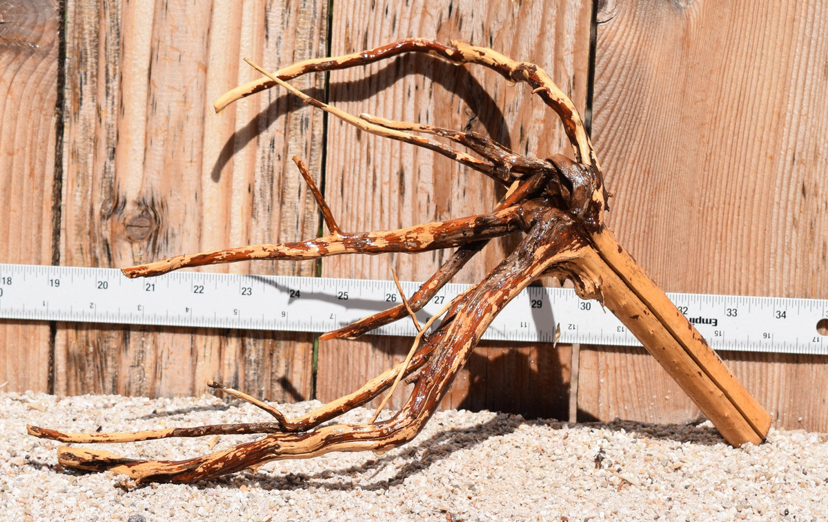 Kakado Wood 1840  15"x9"x9"