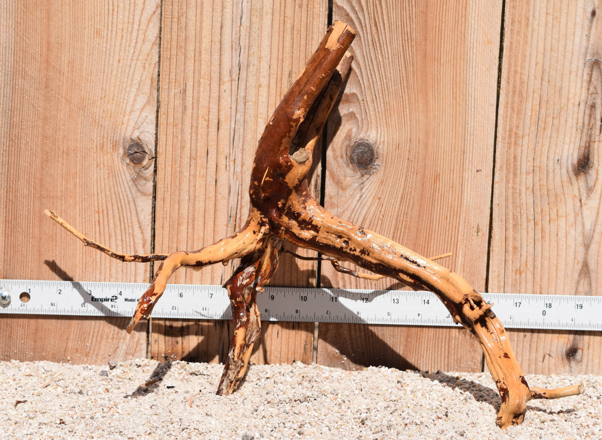 Kakado Wood 1841  17"x7"x12"