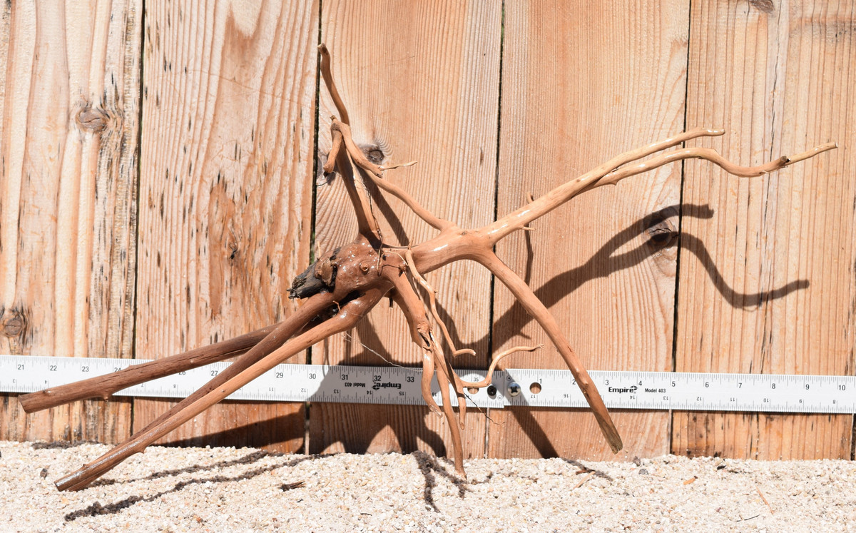 Amazon Wood #1852 23"x9"x13"