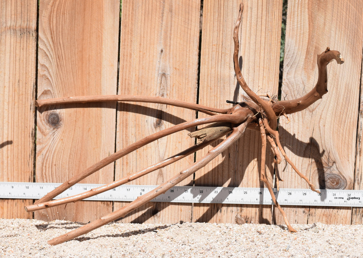 Amazon Wood #1853 20"x9"x15"