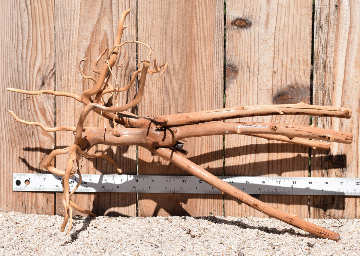 Amazon Wood #1854 21"x9"x13"