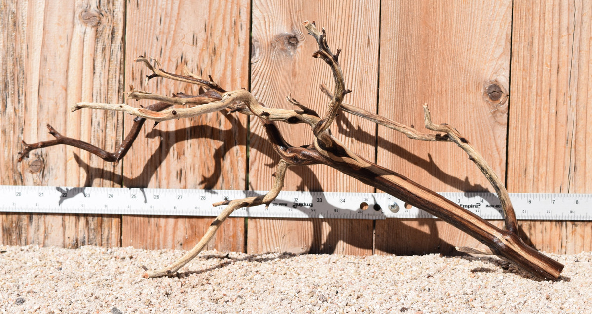 Manzanita #1940 23"x10"x11"