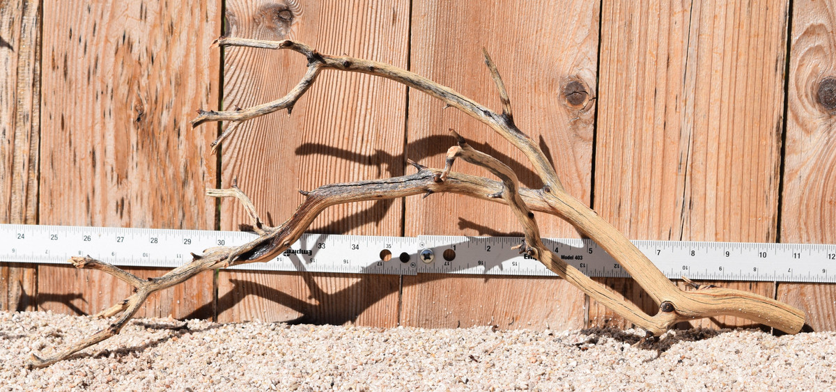 Manzanita #1949 22"x9"x10"