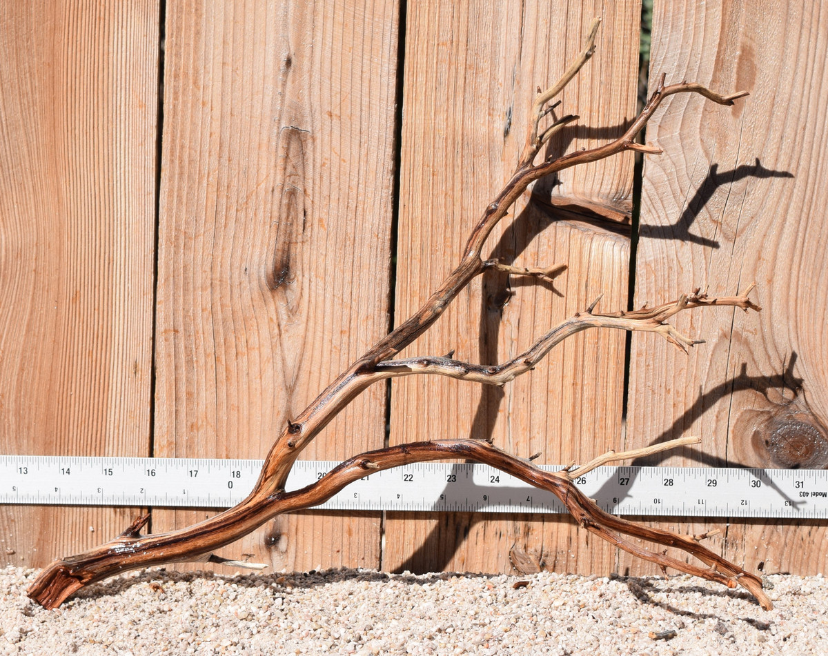 Manzanita #1950 17"x7"x13"