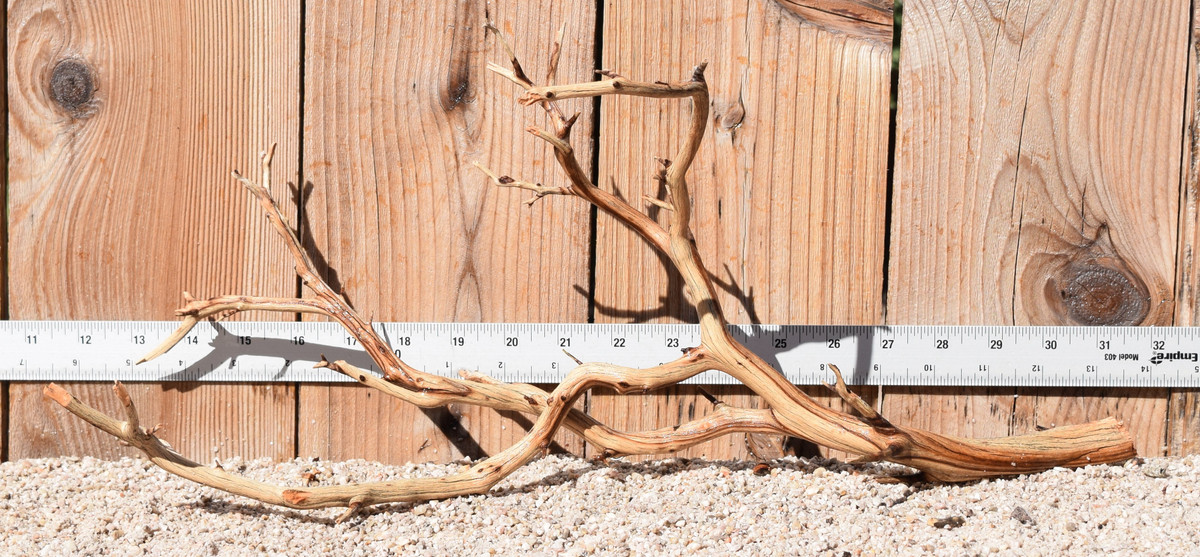 Manzanita #1953 19"x8"x8"