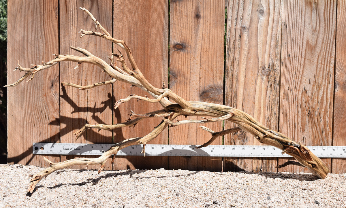 Xlg Manzanita #1965 30"x12"x16"