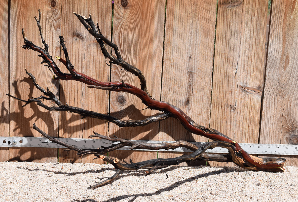 #UnCleaned 2029 31"x 15"x17"