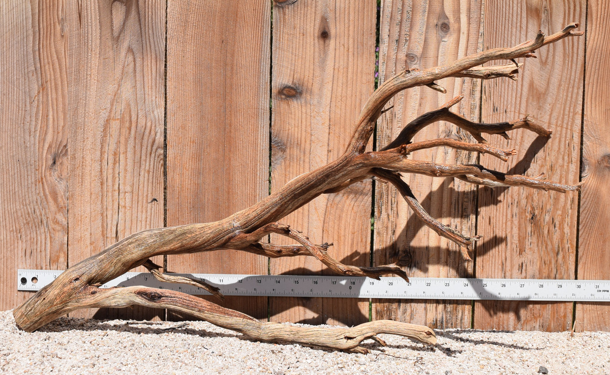 Xlg Manzanita #2039 28"x11"x16"