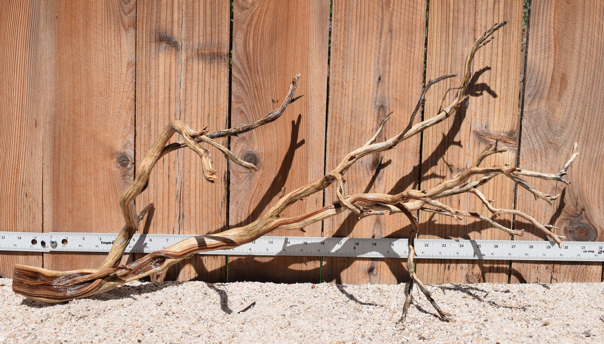 Xlg Manzanita #2040 31"x11"x15"