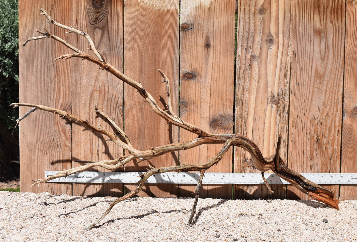 Xlg Manzanita #2041 30"x13"x18"