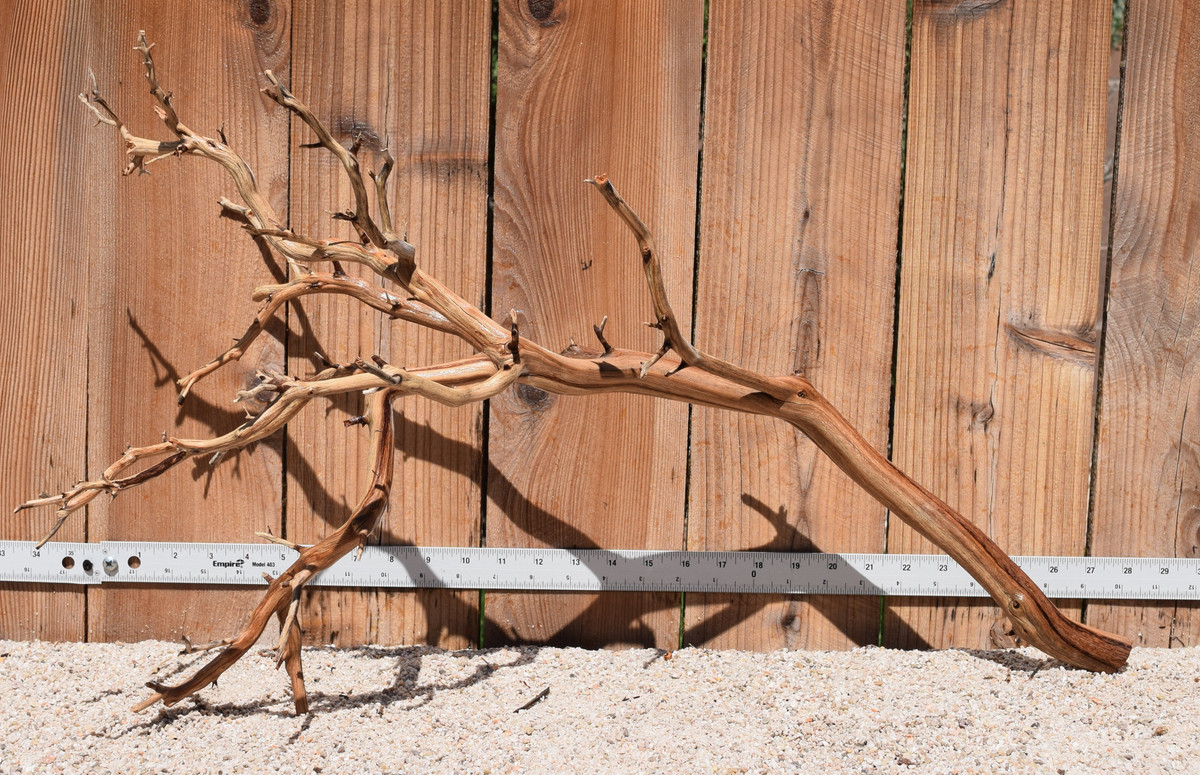 Xlg Manzanita #2042 28"x13"x17"