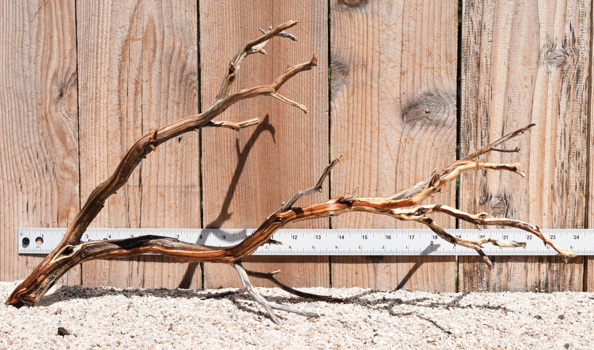 Manzanita #2045 22"x10"x12"