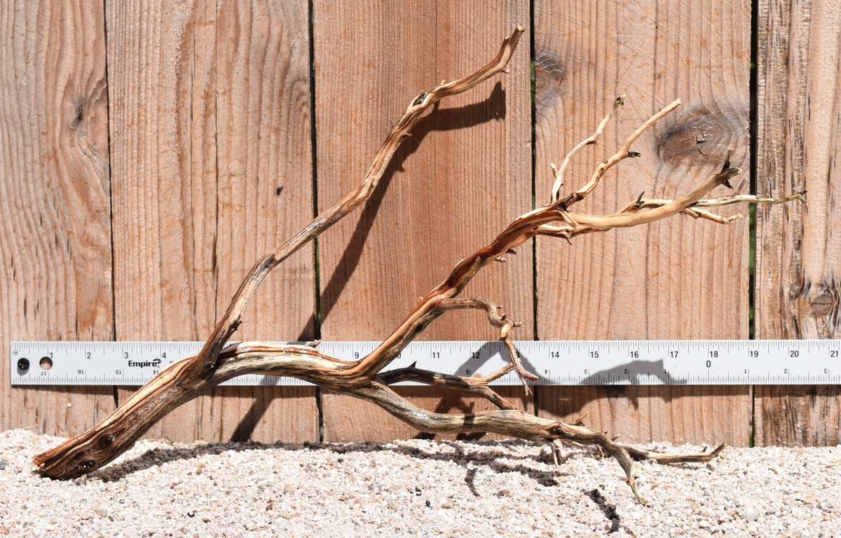Manzanita #2048 18"x8"x10"