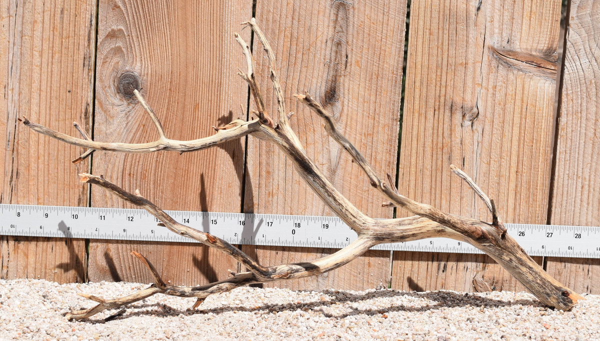 Manzanita #2050 19"x8"x10"