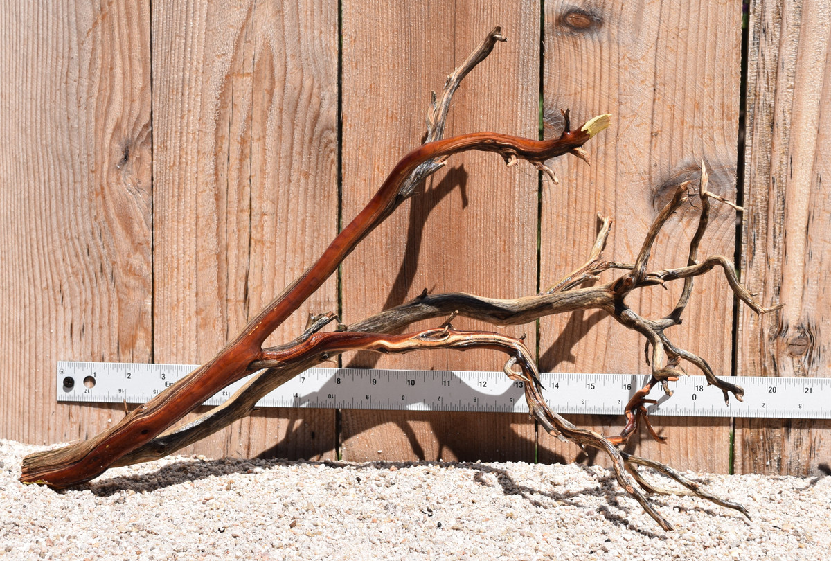 Manzanita #2051 20"x8"x12"