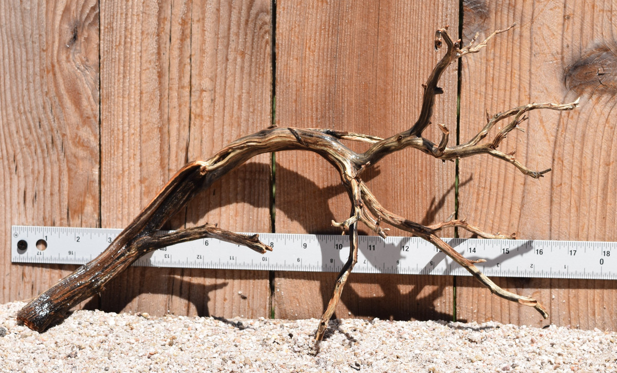 Manzanita #2054 16"x7"x9"