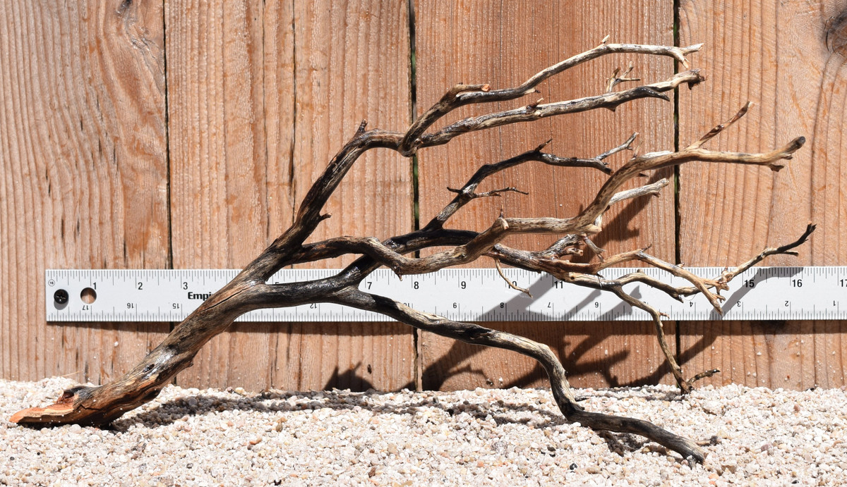 Manzanita #2057 16"x9"x8"
