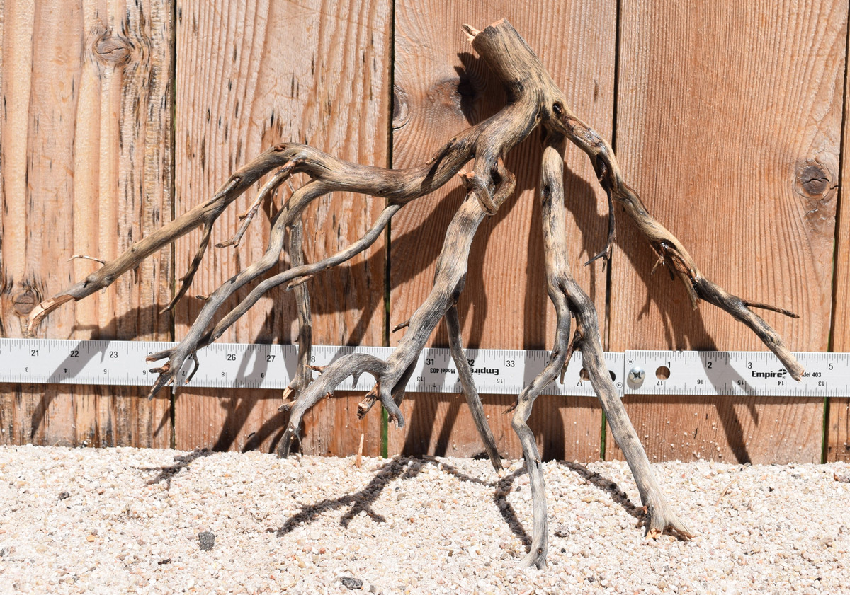 Manzanita #2058 19"x9"x12"