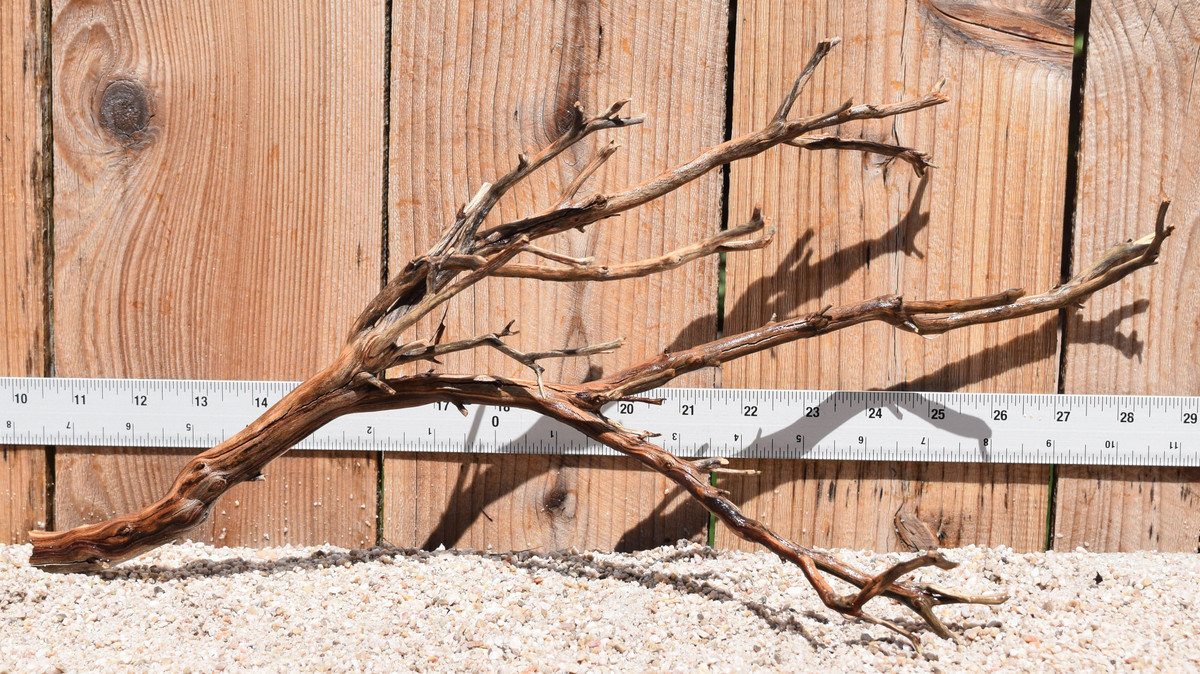 Manzanita #2071 18"x7"x9"