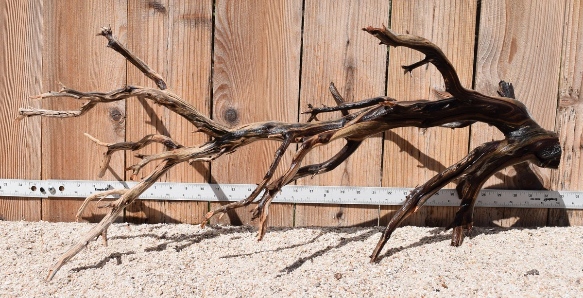 Xlg Manzanita #2156 32"x13"x13"