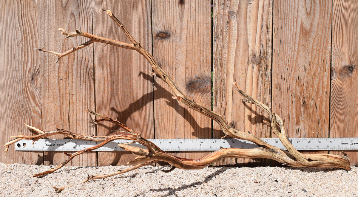 Xlg Manzanita #2157 32"x12"x15"