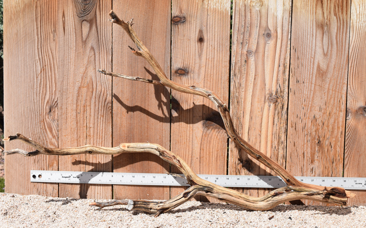 Xlg Manzanita #2161 30"x9"x18"